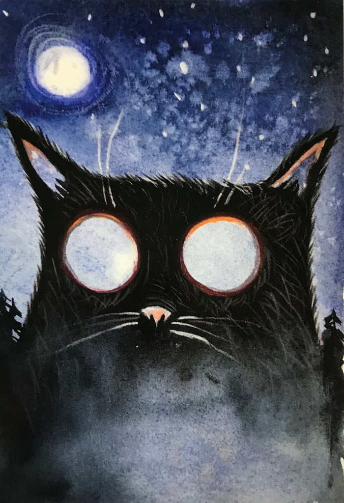Moon-Eyed Cat