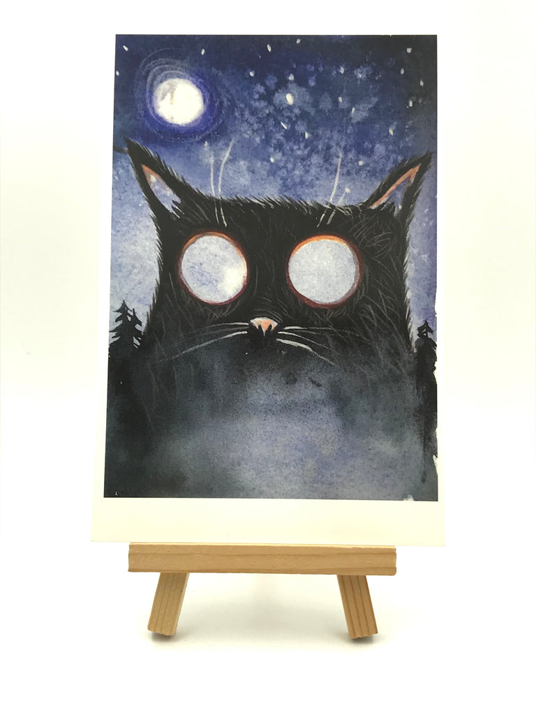 Moon-Eyed Cat